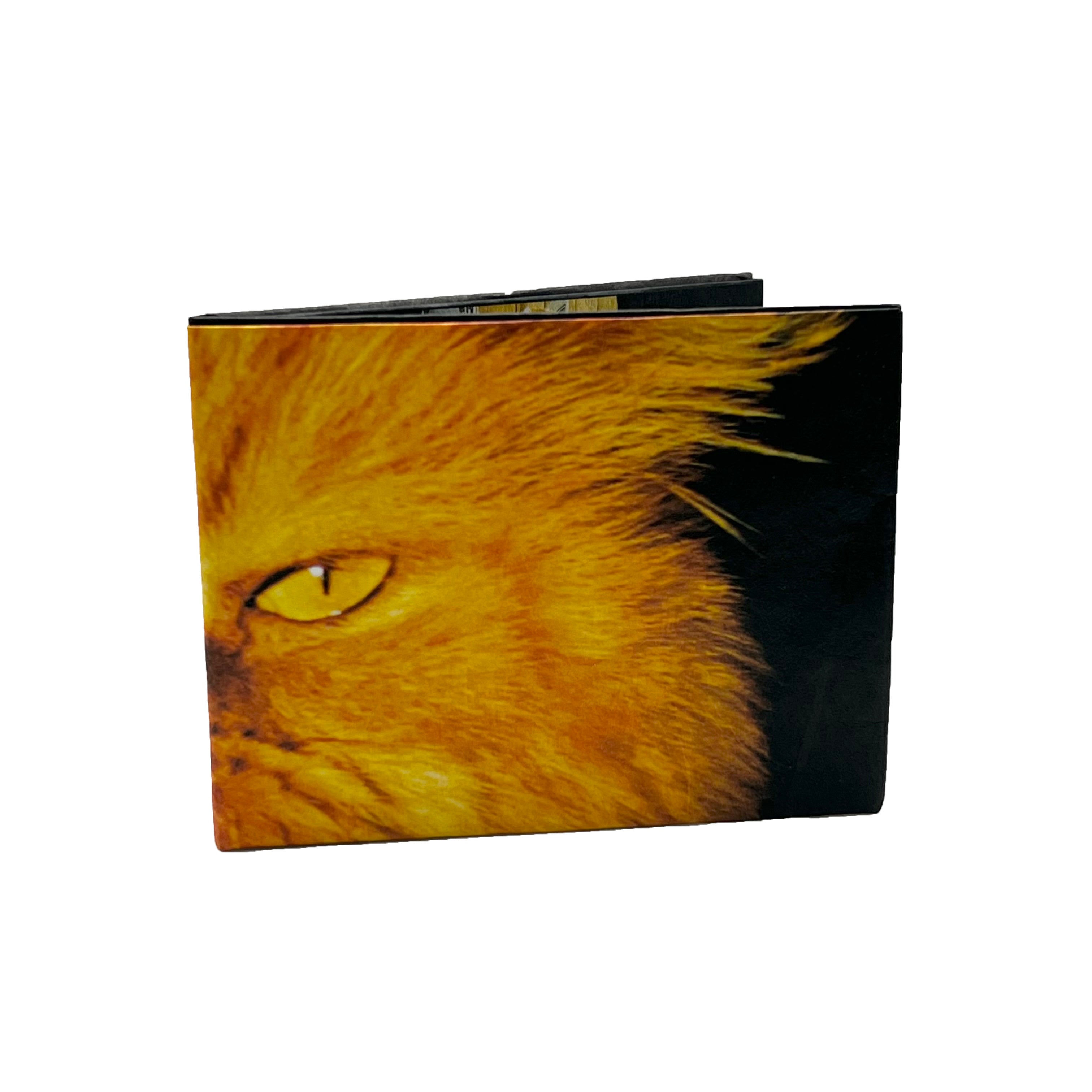 Chocolate Garvey the Cat Tyvek® Wallet.jpg