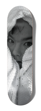 Girl Skateboard Deck Shot by Spike Bjork 8.375.png